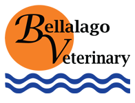 Bellalago Veterinary Hospital