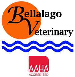 Bellalago Veterinary Hospital - Veterinarian in Kissimmee, FL US